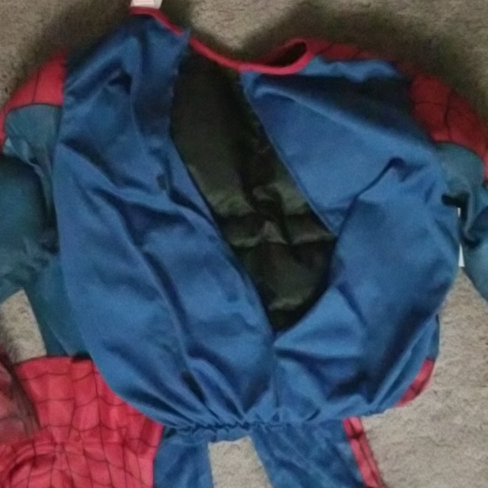 Large Spider Man - Picture 3 of 5
